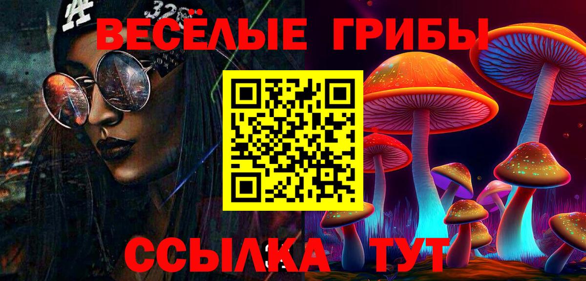 Галлюциногенные грибы Cubensis Дзержинск