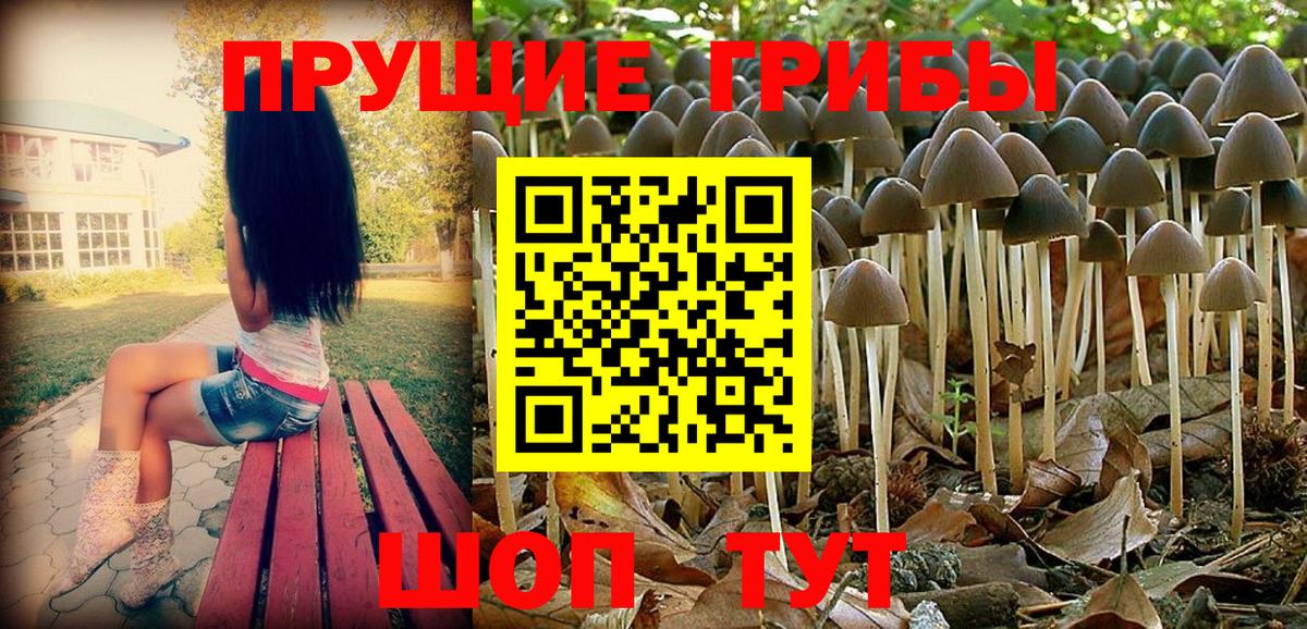 где продают наркотики  Галлюциногенные грибы прущие грибы  Вход с VPN  Дзержинск 